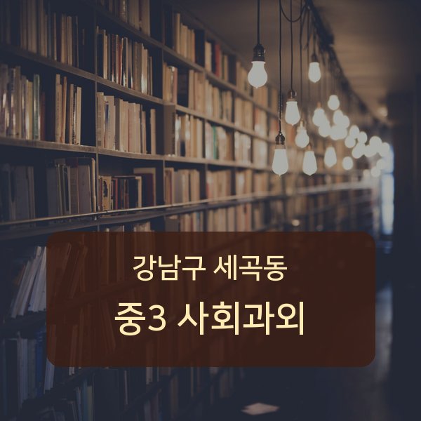세곡동 중학교 3학년 사회 1:1 과외 — 강남구 매칭
