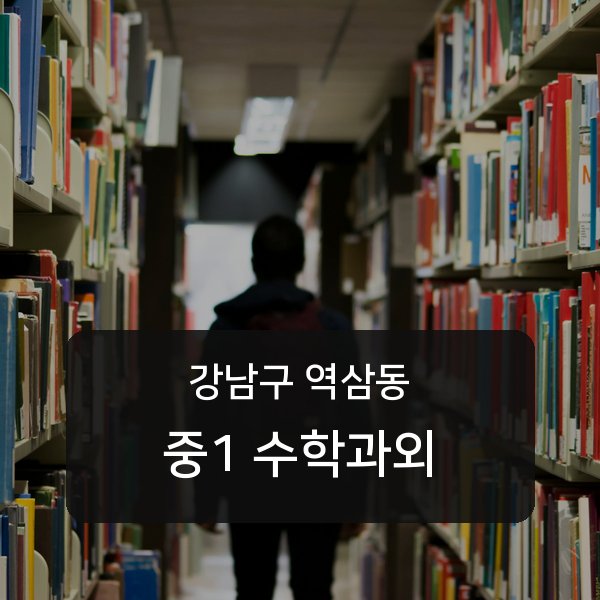 역삼중·진선여자중·진선여자고등 중학교 1학년 학생 수학 1:1 과외 — 학교 시험 출제 분석 상담