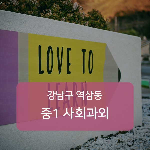 역삼중·진선여자중·진선여자고등 중학교 1학년 학생 사회 1:1 과외 — 학교 시험 출제 분석 상담