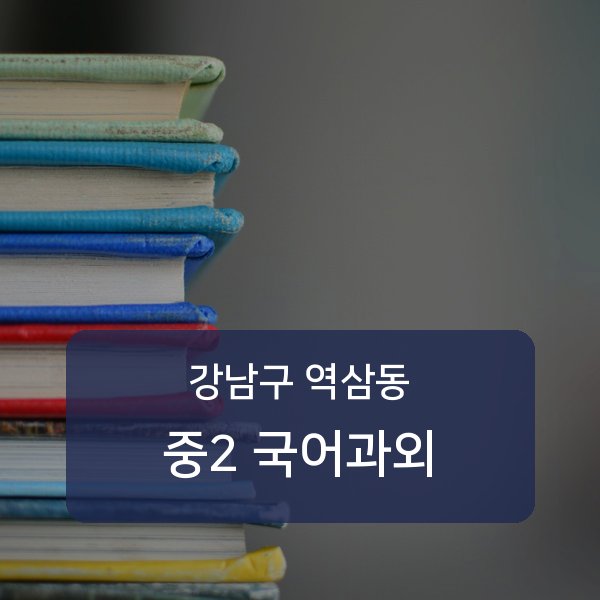 역삼중·진선여자중·진선여자고등 중학교 2학년 학생 국어 1:1 과외 — 학교 시험 출제 분석 상담