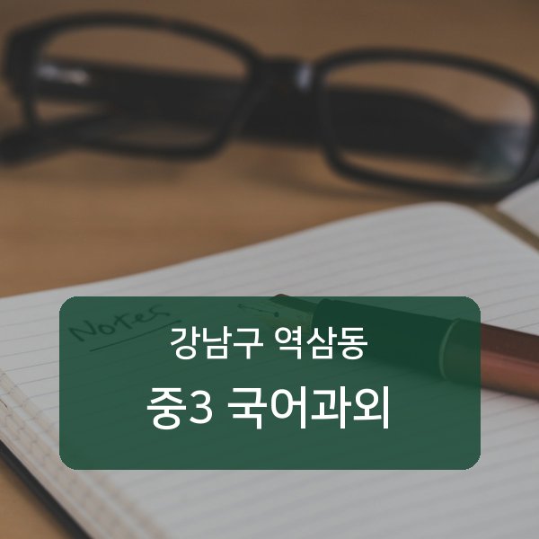 역삼중·진선여자중·진선여자고등 중학교 3학년 학생 국어 1:1 과외 — 학교 시험 출제 분석 상담